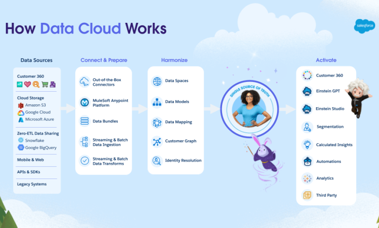 Salesforce Data Cloud