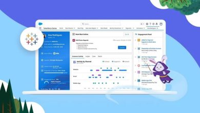 Salesforce Data Cloud