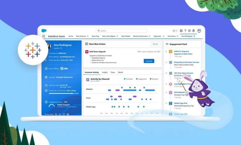 Salesforce Data Cloud