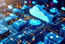 EverFlex AI Data