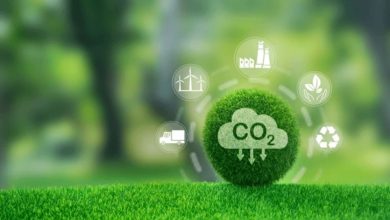 Carbon emissions