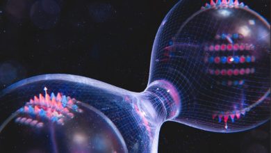 Quantum