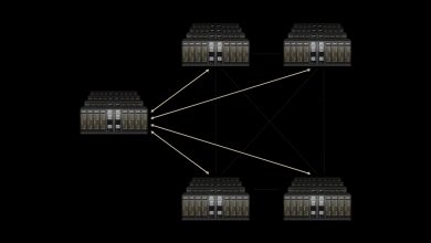 Spectrum-XGS Ethernet