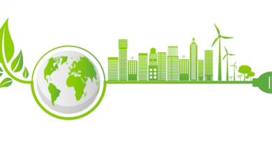 Sustainability